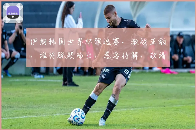 伊朗韩国世界杯预选赛，激战正酣，谁将脱颖而出，悬念待解，敬请关注