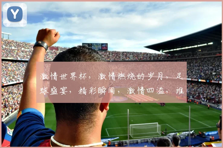 激情世界杯，激情燃烧的岁月，足球盛宴，精彩瞬间，激情四溢，谁与争锋