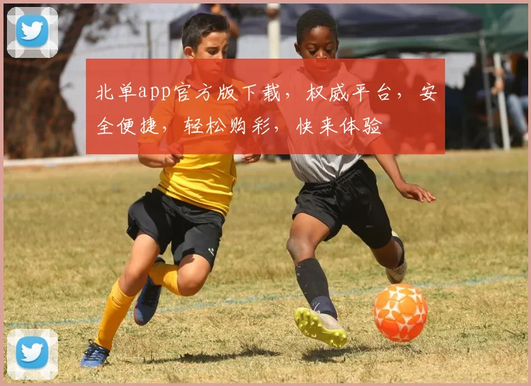北单app官方版下载，权威平台，安全便捷，轻松购彩，快来体验